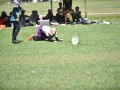 Tn dsc 1260